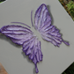 Amethyst Purple Open Wing Butterfly on Light Gray Canvas