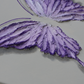 Amethyst Purple Open Wing Butterfly on Light Gray Canvas