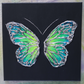 Green & Yellow Blacklight Open Wing Butterfly