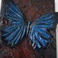 morpho
