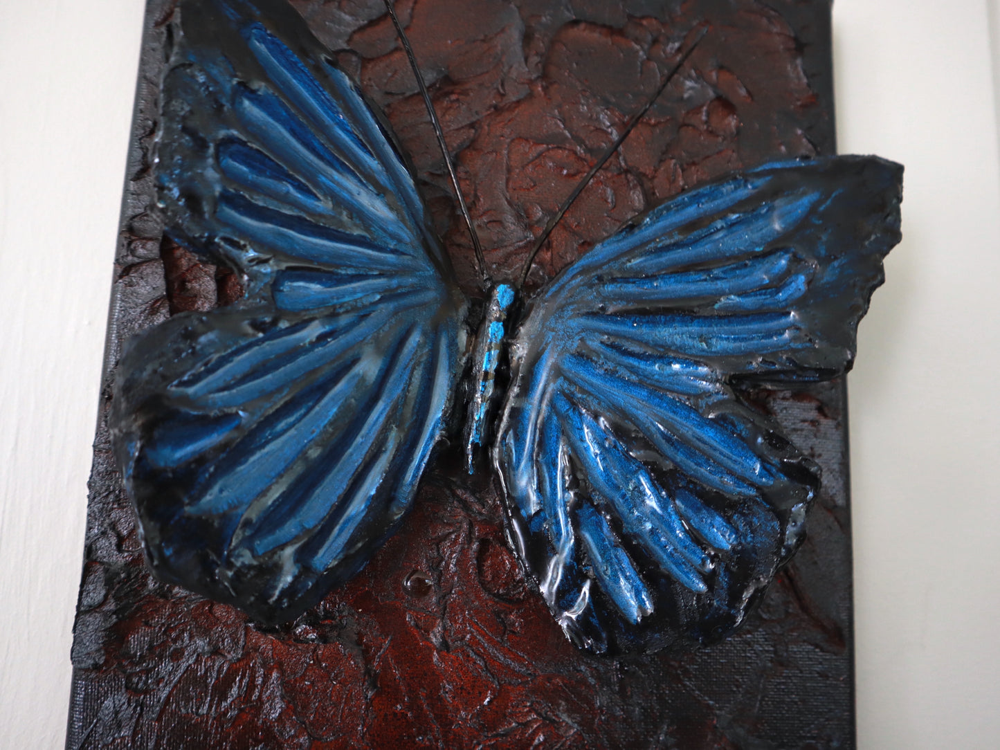 morpho