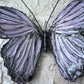 emperor lavender