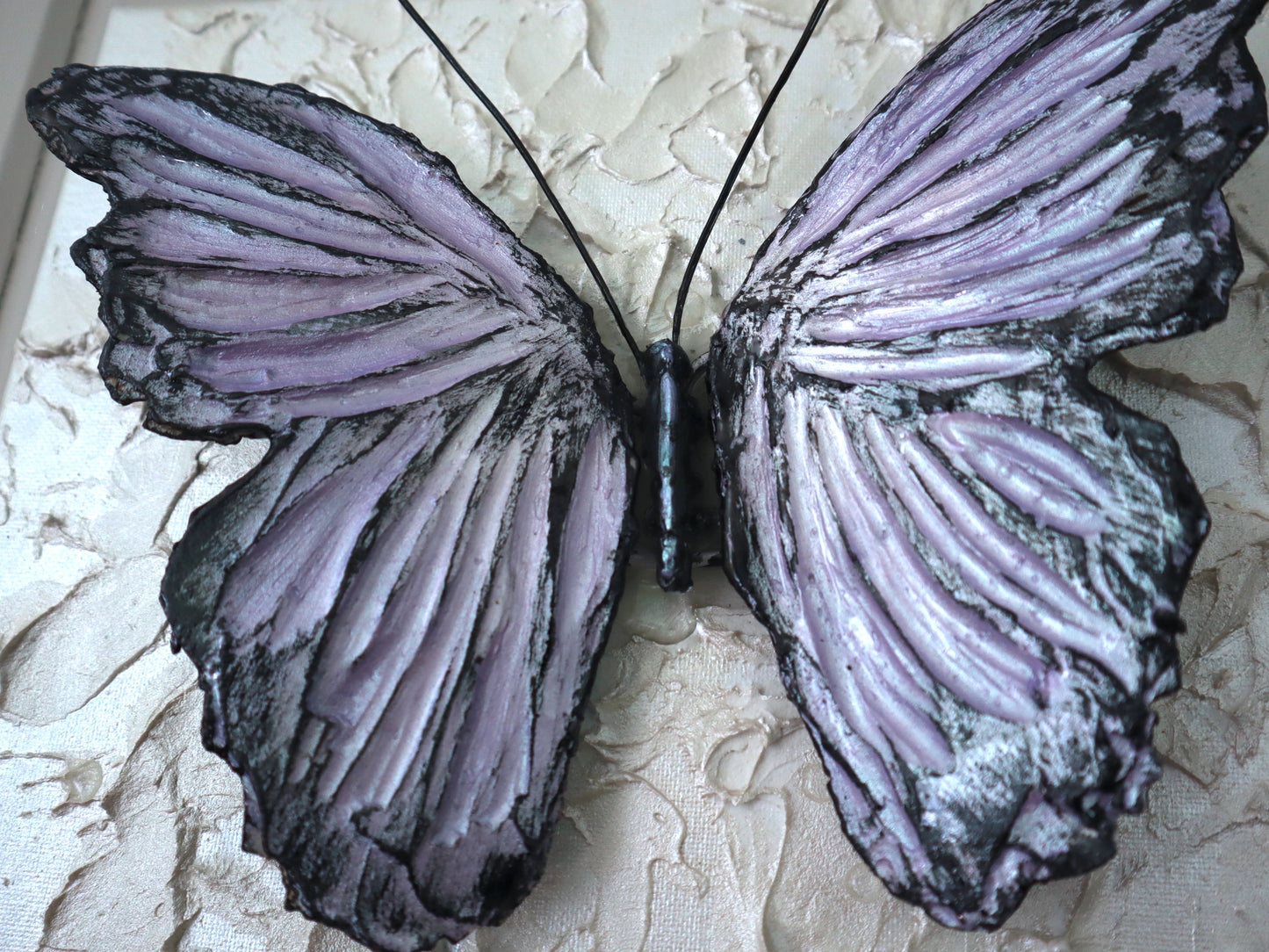 emperor lavender