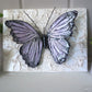 emperor lavender