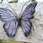 emperor lavender