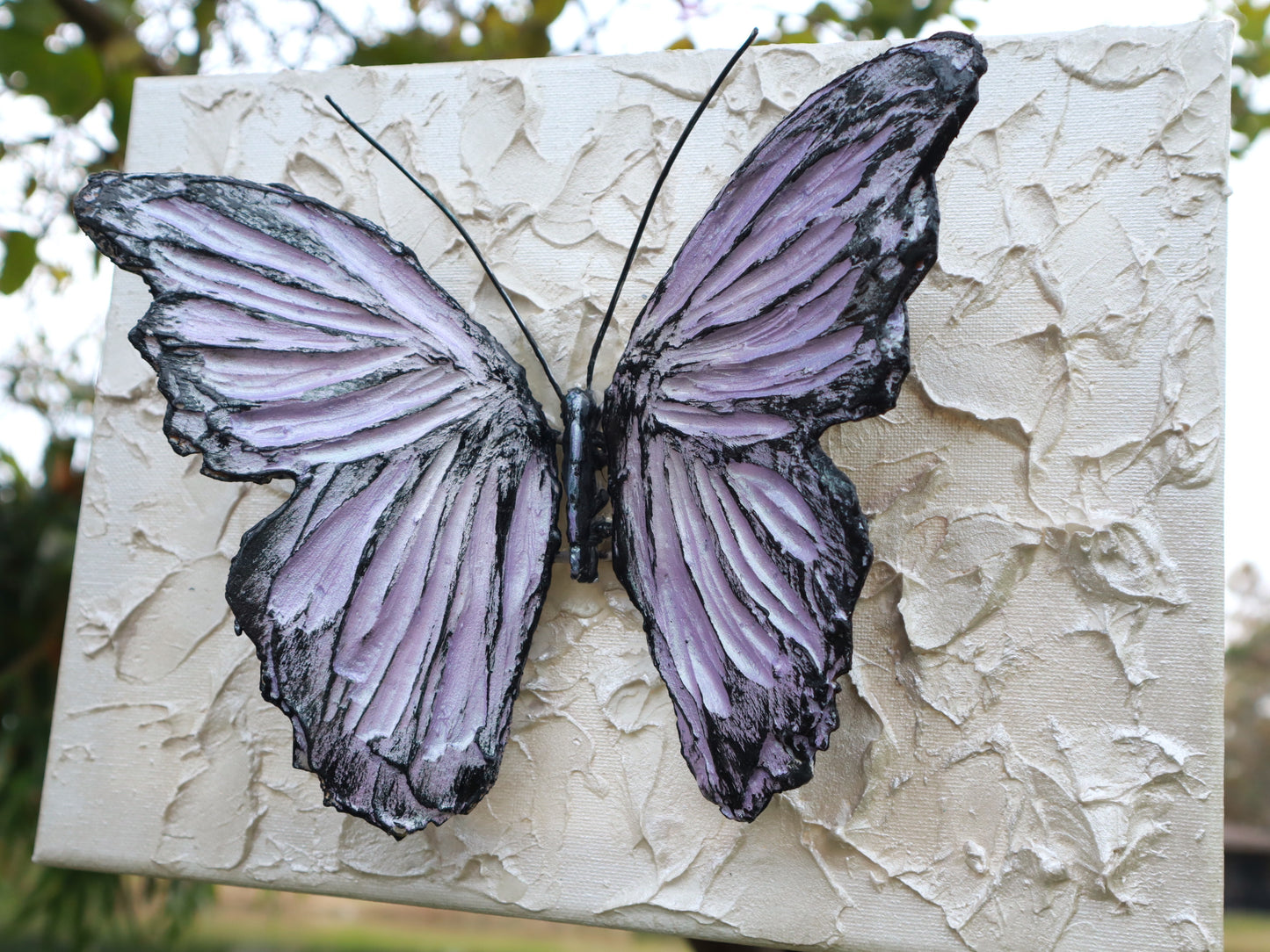 emperor lavender