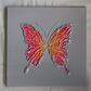 Multicolor Peach Butterfly on Light Gray Background