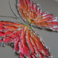 Multicolor Peach Butterfly on Light Gray Background