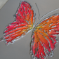 Multicolor Peach Butterfly on Light Gray Background