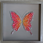 Multicolor Peach Butterfly on Light Gray Background