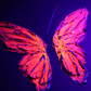 Multicolor Peach Butterfly on Light Gray Background