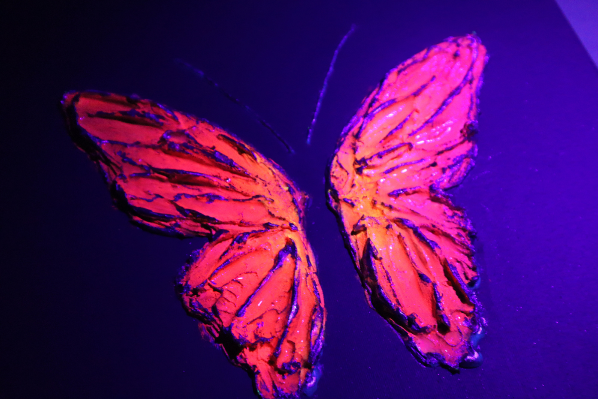 Multicolor Peach Butterfly on Light Gray Background